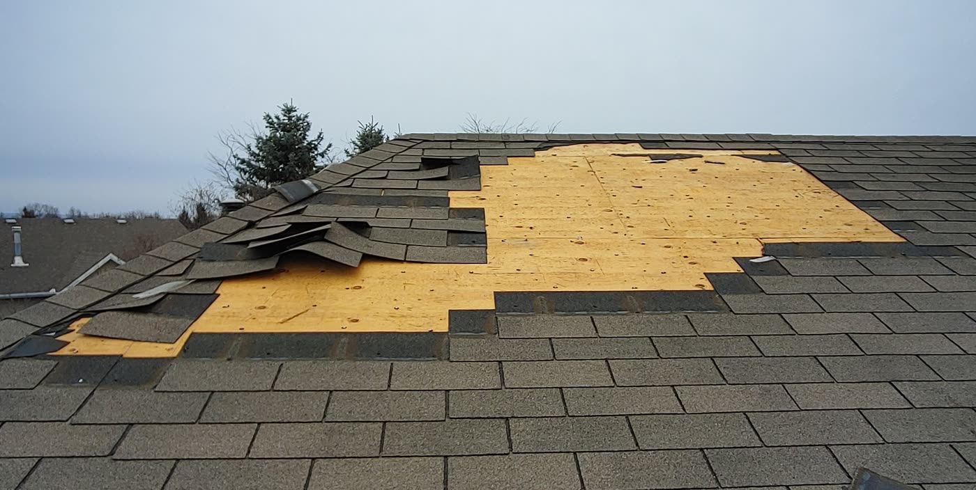 Roof section stripped back to the plywood deck for repair